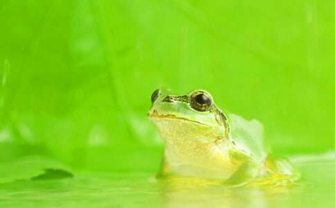 ���ܵ�����300�ֱر���3ƪ��