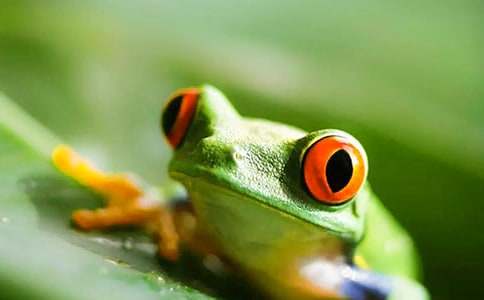 ��ʵ�á���������300��