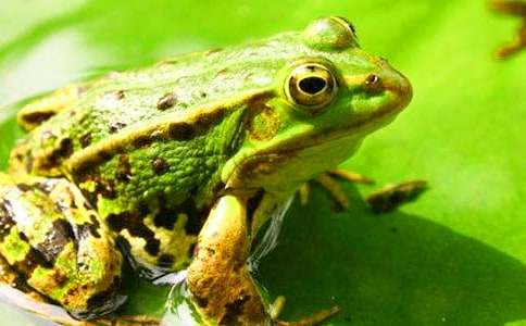 ���Ƽ�����������600��8ƪ