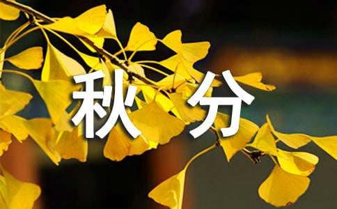 �µ��������������800��