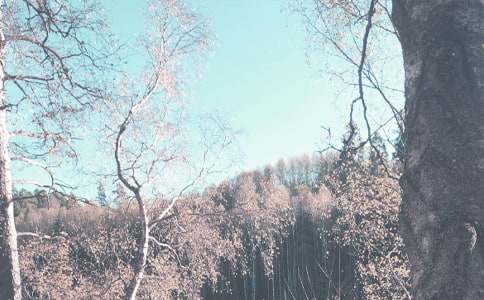 �۲��＾����ı仯����