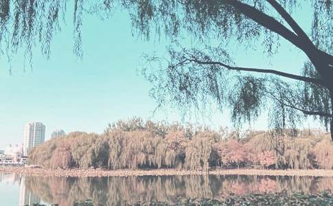 我爱秋季作文(通用15篇)