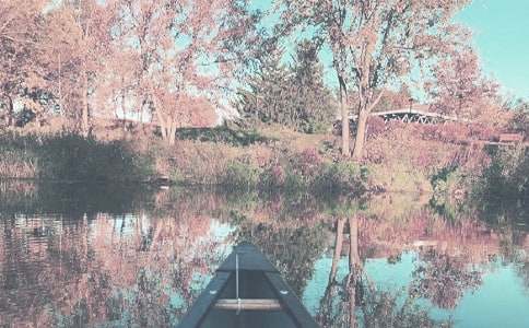 中班秋季教学计划