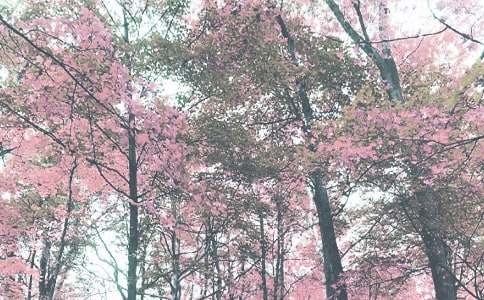 [����]�Ұ��＾��������2ƪ