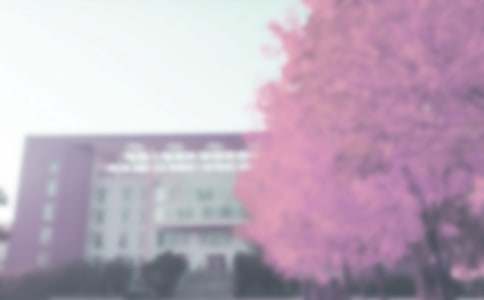 �＾���ȶӹ����ƻ�