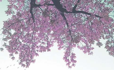 �Ұ��＾����[ͨ��]