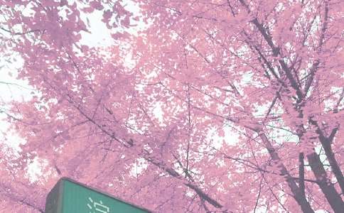 �Ұ��＾���ġ�����15ƪ��