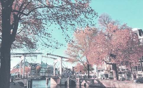 我爱秋季作文通用15篇