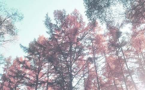 �Ұ��＾���ģ�����15ƪ��