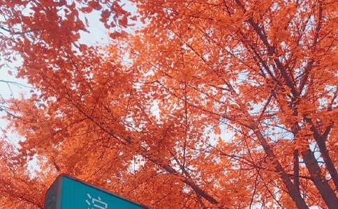 [�ϼ�]��������400��4ƪ