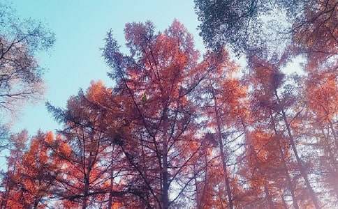 ���ռ�������600��