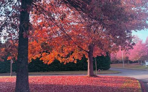 ��������400�֣���Ʒ4ƪ��