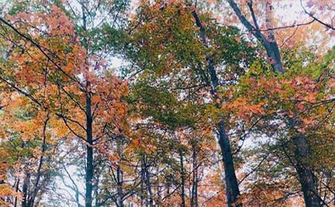 ����ѡ����������600��3ƪ