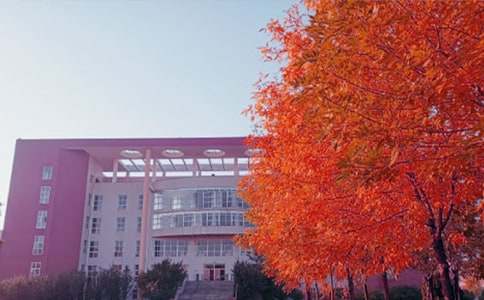 ʵ�õ����յ�����300��