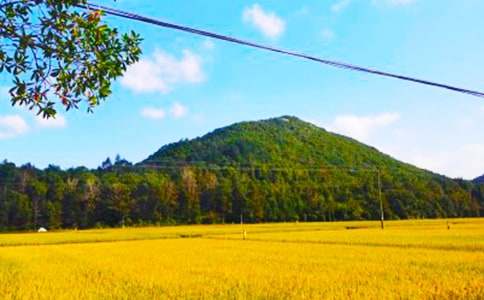 ʵ�õ����յ�����300��