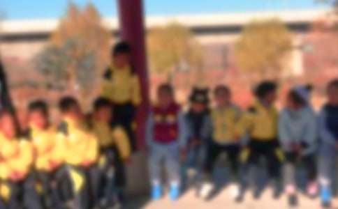 ��ѡ���꼶�������ļ���7ƪ