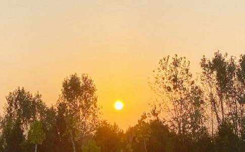 �ճ�����600��