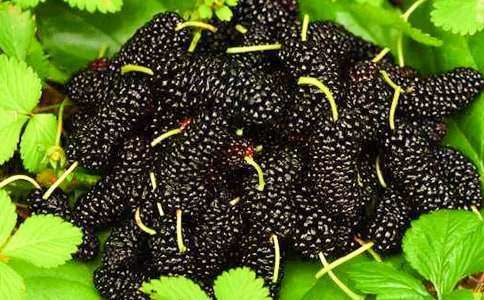 ժɣ������600��