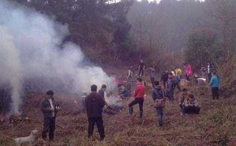 [����]ɨĹ����500��15ƪ