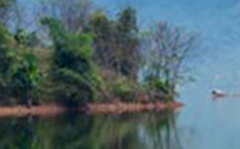 ��дɽˮ������300��6ƪ