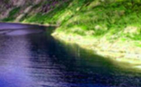 ���ֵ�ɽˮ���꼶����