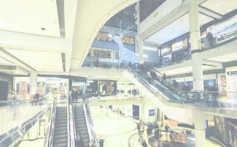 �̳����������