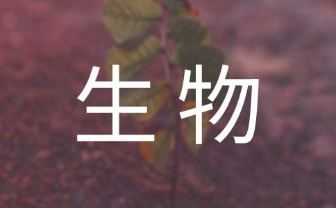 七年级生物上册教学计划(合集15篇)