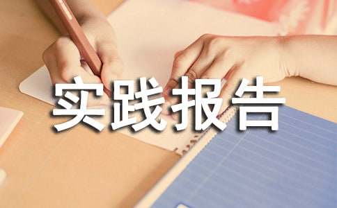 ���������ʵ������