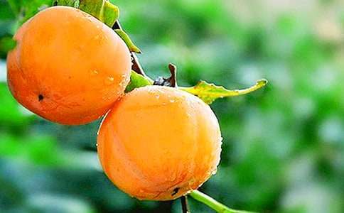 ���ӵ�����400�ּ���[4ƪ]