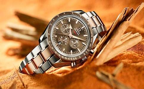 未来的手表-四年级作文