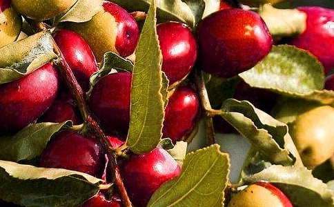 ����ϲ����ˮ��400�����ķ���15ƪ