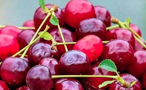 ����Ʒ��ˮ�����꼶���Ļ��10ƪ