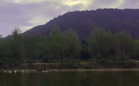 ����ѡ��������ˮ������300��3ƪ