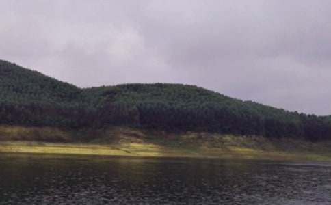 (热)水库承包转让协议书