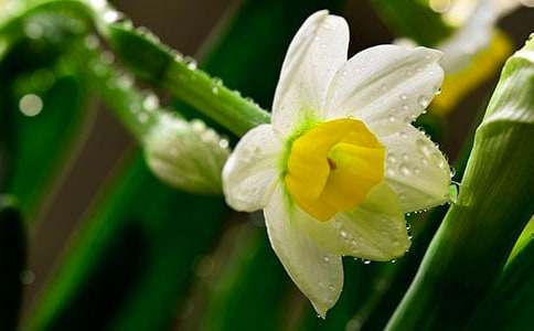 ʵ�õ�ˮ������600�ֻ��[3ƪ]