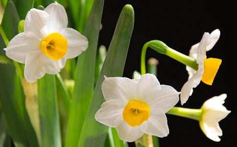 ���Ƽ���ˮ������600��8ƪ