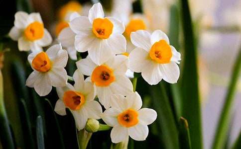 �Ұ�ˮ�ɻ�����15ƪ