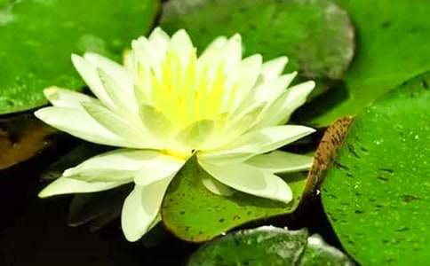 ˯������400��