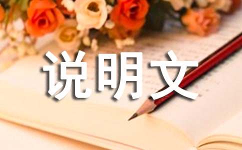 动物说明文作文300字汇总9篇