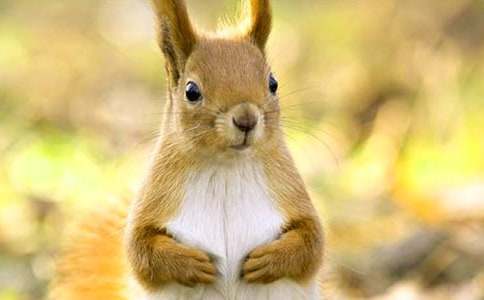 [��ѡ]��������300��3ƪ