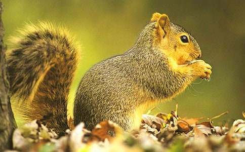 ���ܽ����������󡷽̰�(15ƪ)