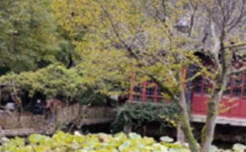 关于《苏州园林》的优秀教案五篇