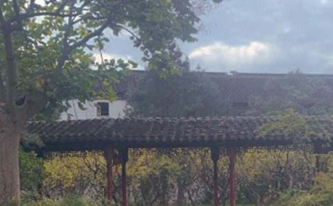 ����԰������800��