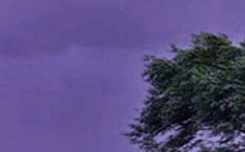 ̨��ķ���֪ͨ3ƪ