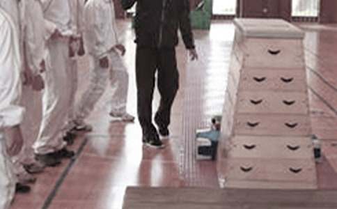 ���꼶������ѧ�����ƻ�(����12ƪ)