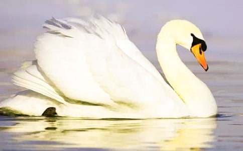 ����ѡ����������300��