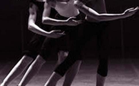 �����š���������600��4ƪ