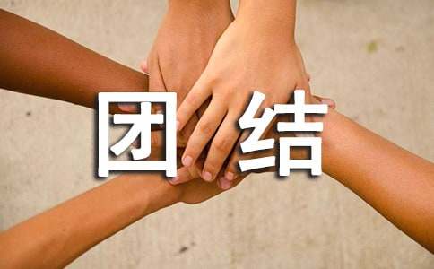 《民族团结》教学反思