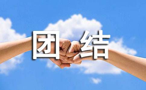 �����Ž���������»�ܽ�(����15ƪ)