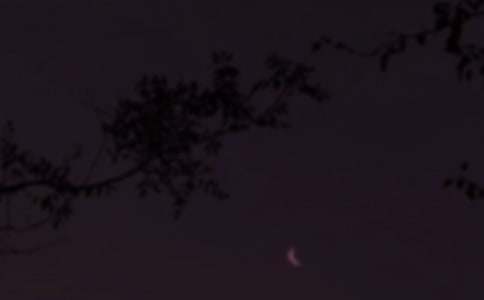 �򵥵����õ������ʺ�����¼37��